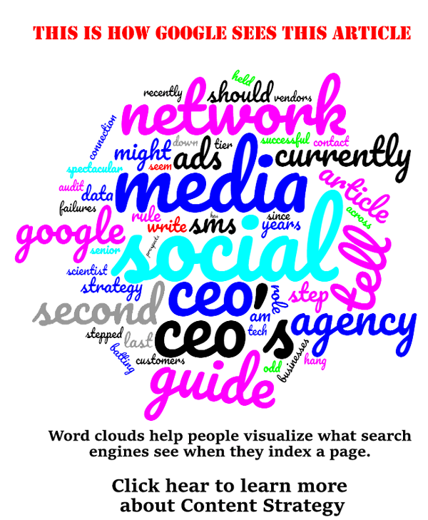 What Google Sees CEO Social Media Word Cloud 4