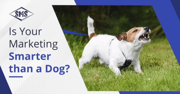 Is Your Marketing Smarter than a Dog?